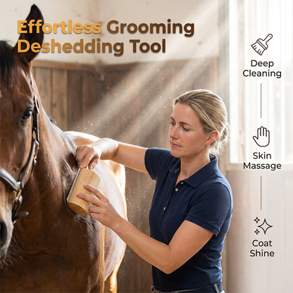 🥳Brosse anti-mue – Pas de tiraillements, pas de douleur. Manche ergonomique en bois. Élimine le sous-poil et les squames. Idéale pour les animaux anxieux ou sensibles. Une séance de toilettage en toute sérénité. 🌿💚
