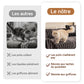 🛋️ 65% DE RÉDUCTION! ✨ Housse de Canapé en Peluche Douce - Protection Antidérapante avec Élastiques pour un Confort et un Style Maximum 🏠🌟