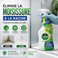 🫧💦Spray anti-moisissure pour la salle de bains