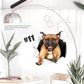 Autocollants muraux 3D amovibles pour chats et chiens