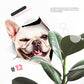 Autocollants muraux 3D amovibles pour chats et chiens