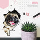 Autocollants muraux 3D amovibles pour chats et chiens