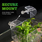 Support suspendu pour aquarium et plante