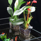Support suspendu pour aquarium et plante