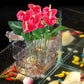 Support suspendu pour aquarium et plante