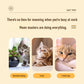 🔥 50 % de réduction ✨Jouet interactif pour chat : Sac de frappe