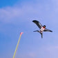 🥳 PROMOTION 2026 🥳💞 PLUS DE 50 000 EXEMPLAIRES VENDUS ! 💥👨‍👦✨ Le compagnon idéal pour s'amuser en famille en plein air | Kit de cerf-volant de pêche pour créer des souvenirs inoubliables au printemps 50 % DE RÉDUCTION 🎣🪁