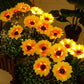 🌻50 % RABATT! ☀️ Wasserdichte Sonnenblumen-Solarleuchten – Realistische Blütenblätter, Schutzart IP65 und automatische Einschaltung nach 8 bis 12 Stunden ☀️🌻