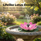 Pompe pour fontaine en forme de fleur de lotus à énergie solaire