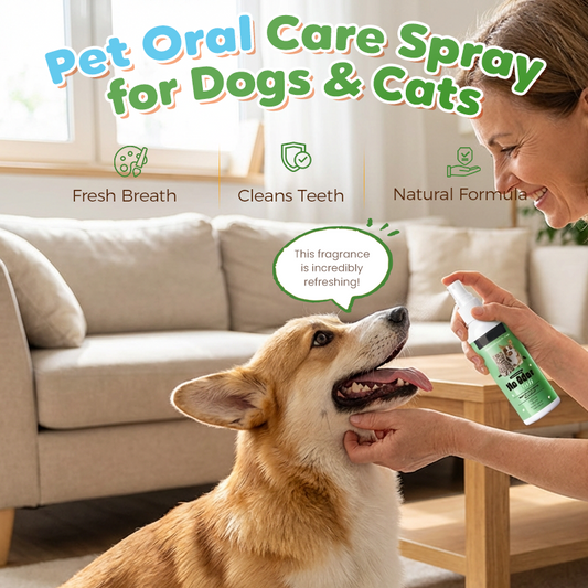 Spray de soins bucco-dentaires pour chiens et chats