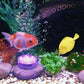 💧 50% DE RÉDUCTION! 🏊 Éclairage LED Étanche pour Piscine avec Télécommande – Multicolore, Économe en Énergie & Parfait pour l'Ambiance ✨