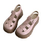 👡🔥 PROMO FLASH 50% ! Sandales Compensées Femme 5cm – Semelle Rembourrée, Tige en Cage Respirante, 3 Couleurs, Pointures 35-40, Confort Optimal pour l'Été ☀️