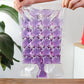 20 Sacs à Glaçons（Achetez-en 1 recevez-en 1 gratuit）