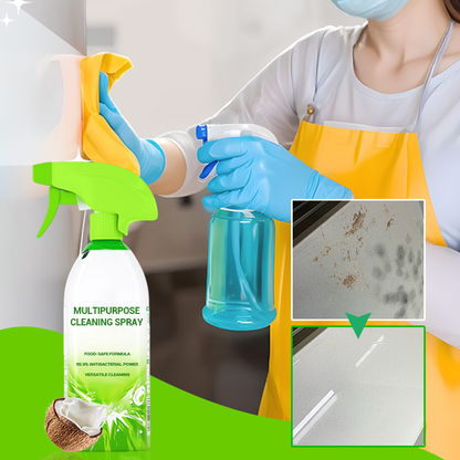 Spray nettoyant puissant à usages multiples pour l'entretien ménager