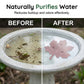 Purificateur universel pour bain d’oiseaux en forme de feuille d’érable