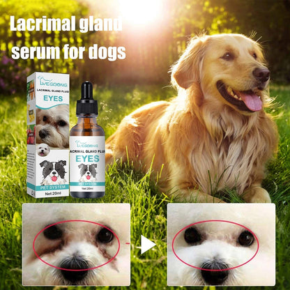 Solution nettoyante et gouttes pour les yeux des animaux de compagnie – Formule douce au pH équilibré, sans danger pour les chiens et les chats. Apaise les rougeurs, élimine les traces de larmes et les salissures quotidiennes. Sans peroxyde ! 🌿💧