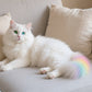 Teinture non toxique pour poils d'animaux