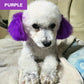Teinture non toxique pour poils d'animaux