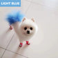 Teinture non toxique pour poils d'animaux