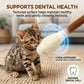 Jouet interactif pour chat avec herbe à chat