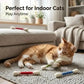 Jouet interactif pour chat avec herbe à chat