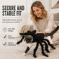 Costume d'Halloween d'araignée pour animaux de compagnie : tenue effrayante en peluche pour chien ou chat