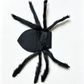Costume d'Halloween d'araignée pour animaux de compagnie : tenue effrayante en peluche pour chien ou chat