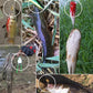 Ensemble de Leurres de Pêche Réalistes et Robustes avec Calendrier de l’Avent