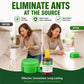 Station d'appât réutilisable pour fourmis et termites en extérieur
