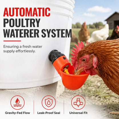 Abreuvoirs automatiques à gravité pour poulets