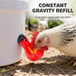 Abreuvoirs automatiques à gravité pour poulets