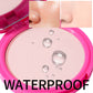 Waterproof Oil Control Face Pressed Powder