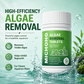 🐟 50 % DE RÉDUCTION EN CE MOMENT ! 🌿  élimination efficace des algues, inhibition durable et sans danger pour les poissons – parfaits pour garder l'eau de l'aquarium propre et cristalline 🐠✨