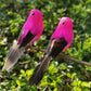 12 oiseaux artificiels à plumes avec pinces