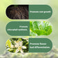 Engrais organique à libération lente en bâton pour plantes d'intérieur