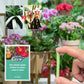 Engrais organique à libération lente en bâton pour plantes d'intérieur