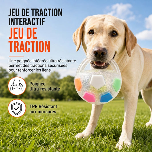 Balle de foot interactive pour chien avec poignées de préhension