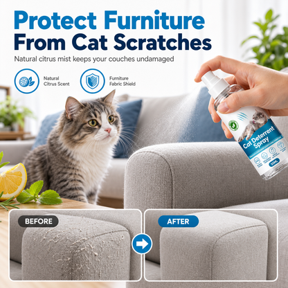 🐱✨ PROMO FLASH : 50% DE RÉDUCTION ! Spray Répulsif Anti-Griffures pour Chat aux Agrumes – Formule Transparente & Non Tachante for Protéger Canapés et Meubles ✨