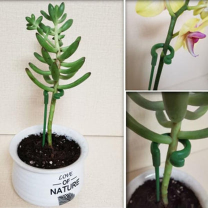 Amélioration du piquet de soutien des plantes en fibre de verre