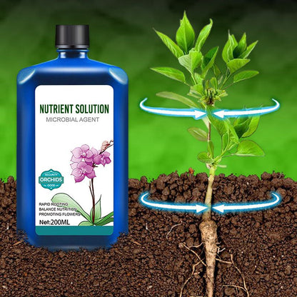 Solution nutritive concentrée pour les plantes